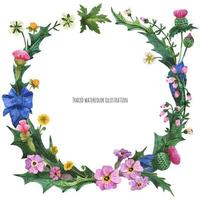 Wreaths from wild plants of Scotland vector