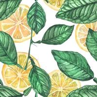 Lemon Garden seamless pattern vector