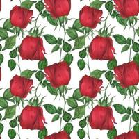 Garden Red Rose seamless pattern vector