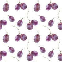 Grape fruits seamless pattern vector