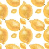 Yellow Lemon Fruit seamless pattern by traced watercolor vector