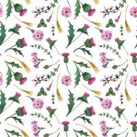 Thistle and Heather Flower watercolor seamless pattern vector