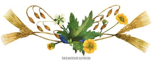 Vignette from wild plants of Scotland vector