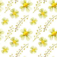 Meadow wild plants seamless pattern vector