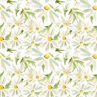 Meadow Daisy seamless pattern vector