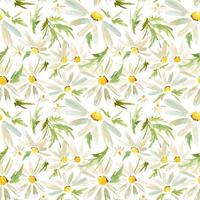 Meadow Daisy seamless pattern vector