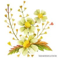 Meadow wild plants boutonniere vector