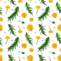 Floral seamless pattern with wild dandelion vector