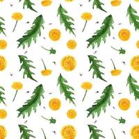 Floral seamless pattern with wild dandelion vector