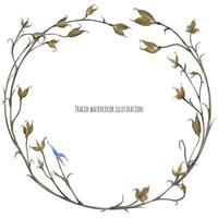 Eco design wreath with meadow plants vector