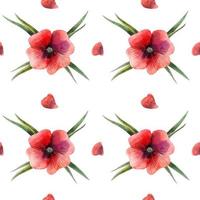 patrón sin fisuras de amapola roja floral vector