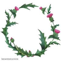 Wreaths from thistle for decoration vector