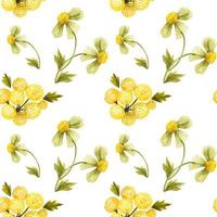 Meadow wild plants seamless pattern vector