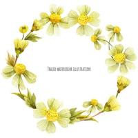 Meadow wild plants wreath vector