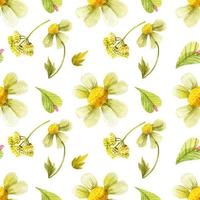 Wild plants seamless pattern vector