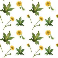Wild plants of Scotland seamless pattern vector