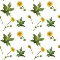 Wild plants of Scotland seamless pattern vector