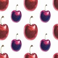 Watercolor seamless pattern with fresh plum vector