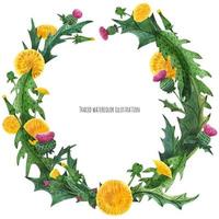 Wreaths from thistle and dandelion for decoration vector