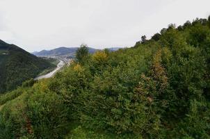 fragmento del terreno montañoso en los cárpatos, ucrania. el bosque es perdonado por los relieves de las montañas de los cárpatos foto