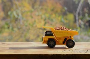 A small yellow toy truck is loaded with brown grains of buckwheat. A car on a wooden surface against a background of autumn forest. Extraction and transportation of buckwheat photo