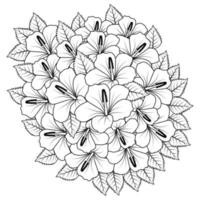 chinese hibiscus flower hand drawn coloring page illustration with line art on isolated background vector