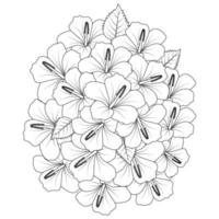 chinese hibiscus flower hand drawn coloring page illustration with line art on isolated background vector