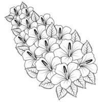 chinese hibiscus flower hand drawn coloring page illustration with line art on isolated background vector