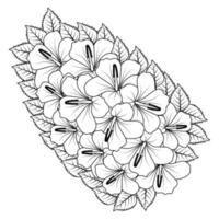 chinese hibiscus flower hand drawn coloring page illustration with line art on isolated background vector