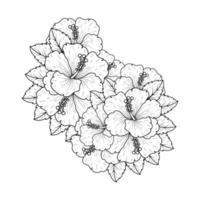 Dibujo de flor de hibisco común para colorear pétalo floreciente o flores de malva rosa vector