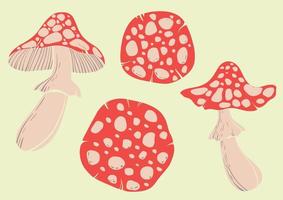 Fly agaric mushroom set. Flat colorful illustration of poisonous red mushrooms on a light background. Flat drawing sketch. Vector illustration in a flat style.