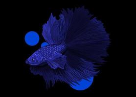 vector de peces de colores