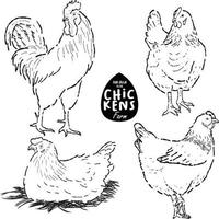 Chicken  farm  hand drawn vector