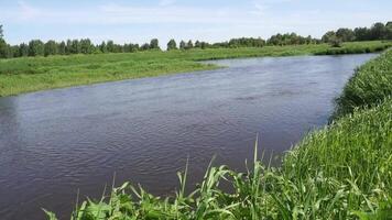 ländliche Landschaft mit Fluss video