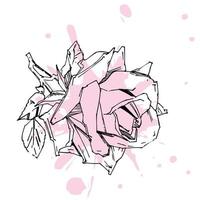 rosa dibujada a mano. ilustración vectorial rosa estilo tatuaje vintage. boceto de motivos florales para el diseño. ilustración de tinta aislada. vector