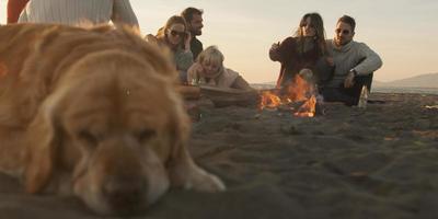 Friends Relaxing At Bonfire Beach Party photo