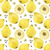 Yellow quince fruits and seeds seamless pattern vector