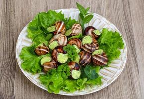 Escargot on wood photo