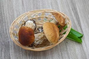Wild Mushrooms on wood photo