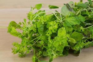 Oregano on wood photo