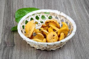 Chanterelle on wood photo