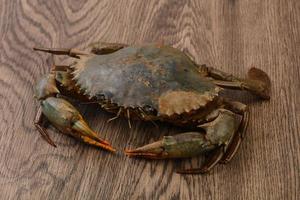 Raw crab on wood photo