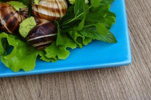 Escargot on wood photo