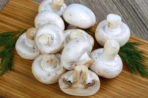 Champignons on wood photo