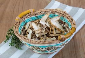 Shiitake on wood photo