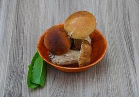 Wild Mushrooms in a bowl on wooden background photo