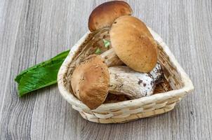 Wild Mushrooms on wood photo