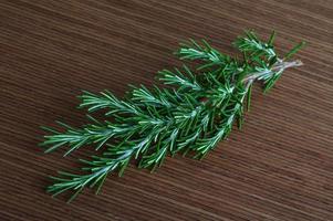 Rosemary branch on wood photo