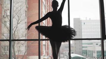 Silhouette einer Ballerina auf dem Hintergrund der Stadt ein wunderschön bewegender Tanz. in einem schwarzen Tutu und Spitzenschuhen. das Bild des schwarzen Schwans aus dem Ballett. Zeitlupe video