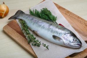 Raw trout dish photo
